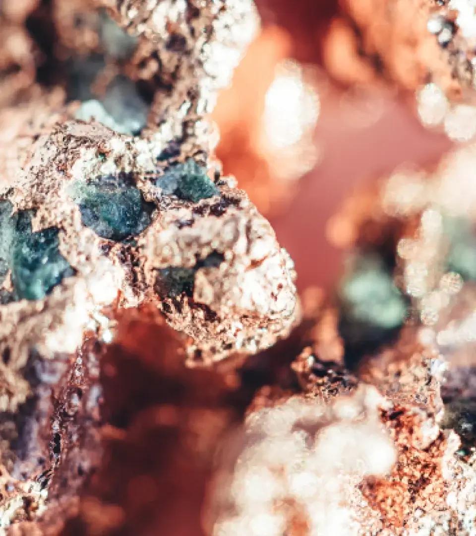 20% of our stocks are of animal origin.